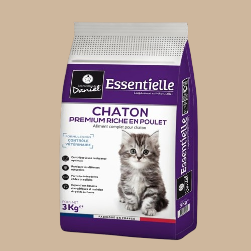 Essentielle - Chaton