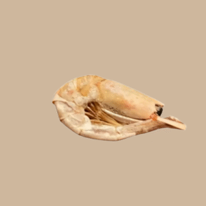 Friandises - Crevette séché