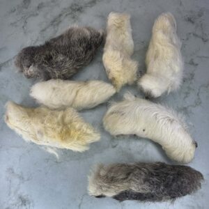Friandise - Pattes de lapin avec poils