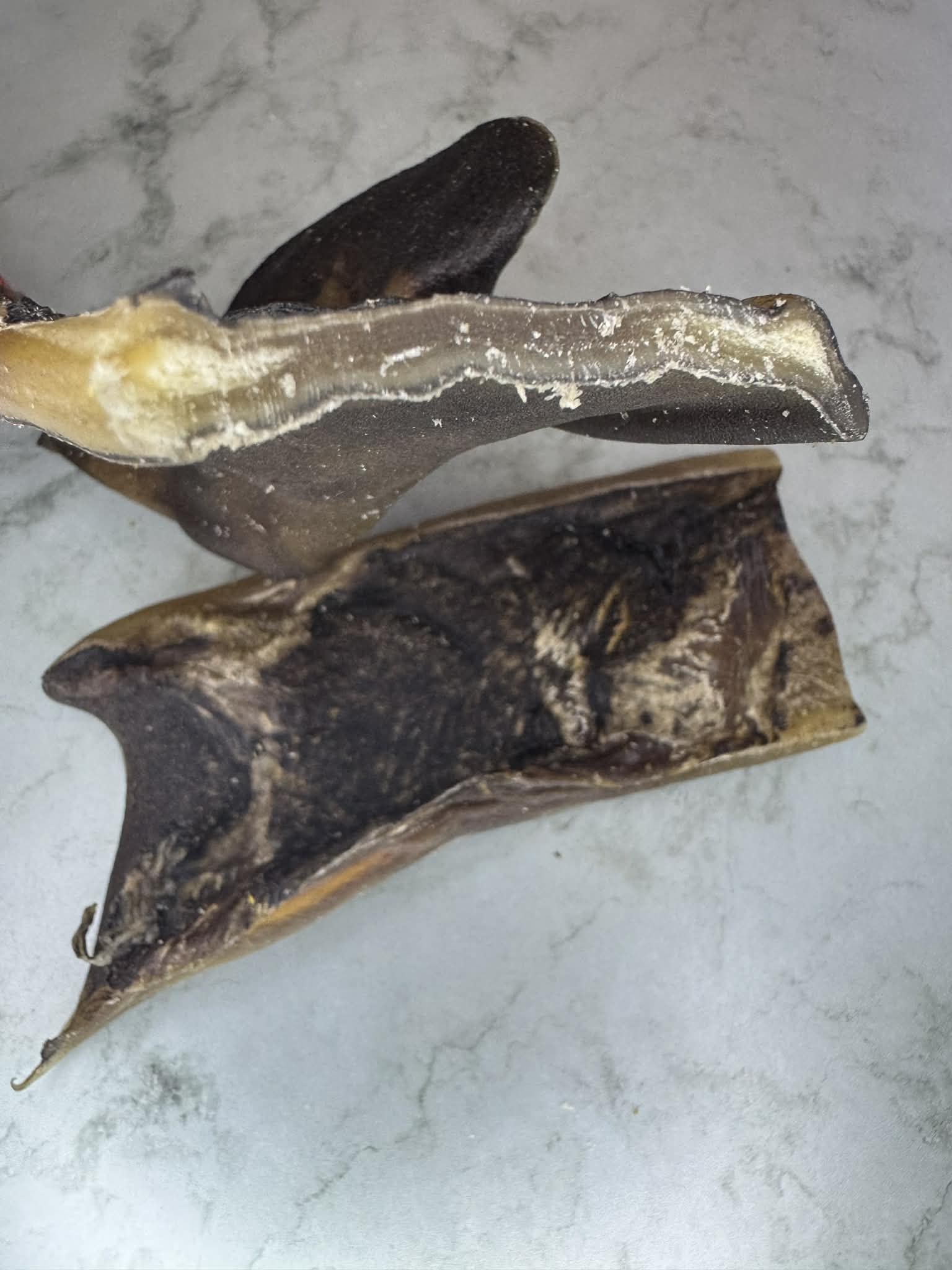 Friandise - Peau de chameau – Image 3