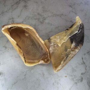 Friande - Sabot de veau