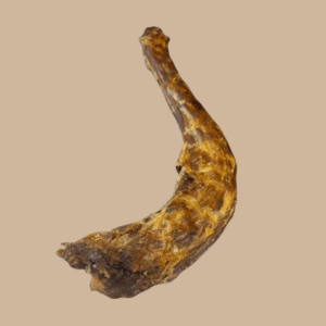 Friandise - Cou de dinde