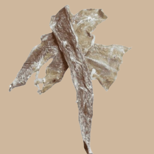 Friandise - Filet de panga