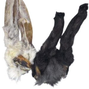 Friandise - Oreille de lapin avec poils