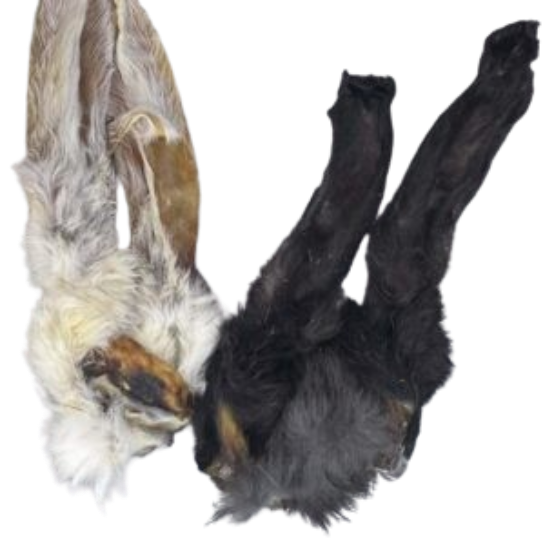 Friandise - Oreille de lapin avec poils