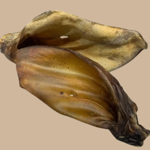 Friandise - Oreille de boeuf avec ou sans poils