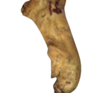 Friandise - Pied de cochon séché