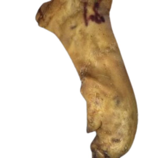 Friandise - Pied de cochon séché