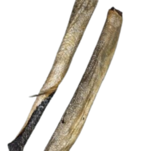 Friandise - Peau de saumon 18 - 22 cm
