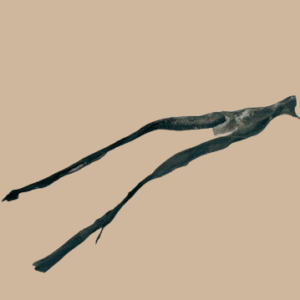 Friandise - Peau de poisson chat