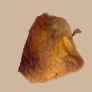 Friandise - Plaque de peau de boeuf