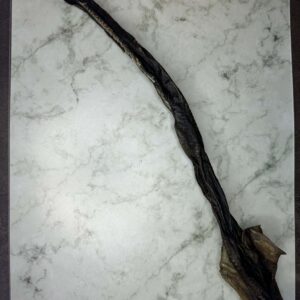 Peau de poisson chat