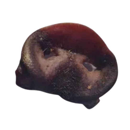 Nez de cochon